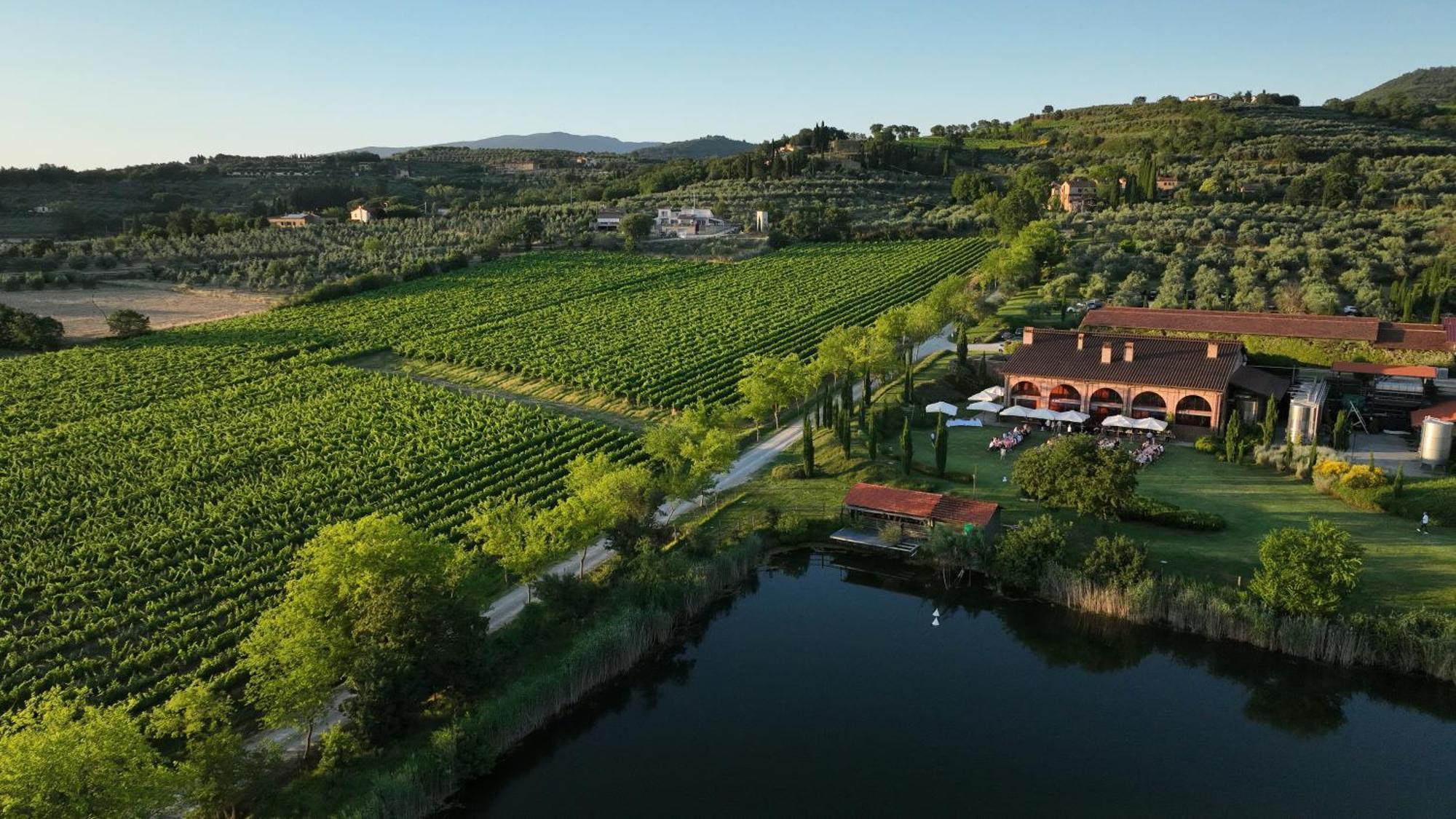 Il Palazzo - Agriturismo, Winery Arezzo Dış mekan fotoğraf